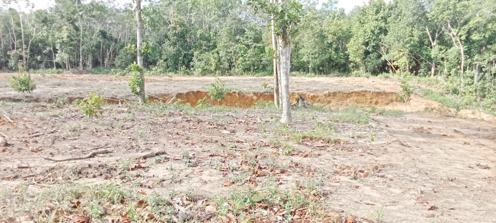 Dijual Tanah Luas Lokasi Potensial di Kawasan Buluh Tumbang Bangka Belitung - Thumbnail 4