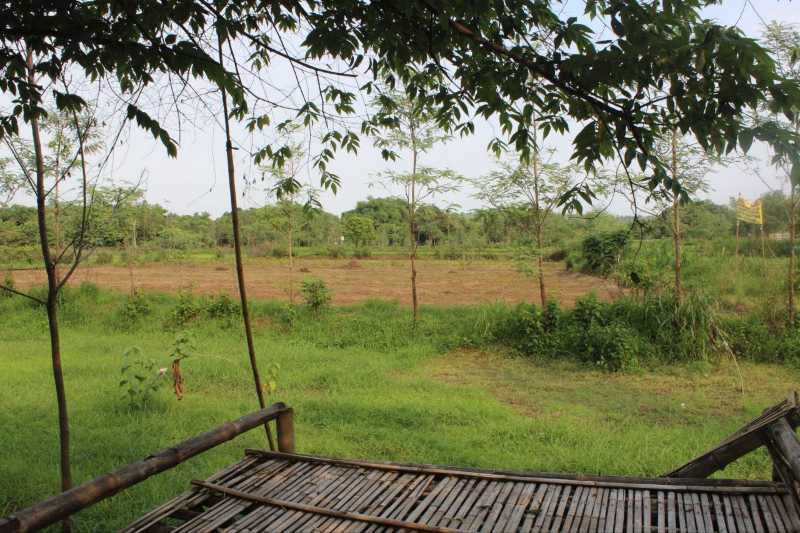 Dijual Tanah Luas Lokasi Potensial di Morkepek Madura - Thumbnail 2