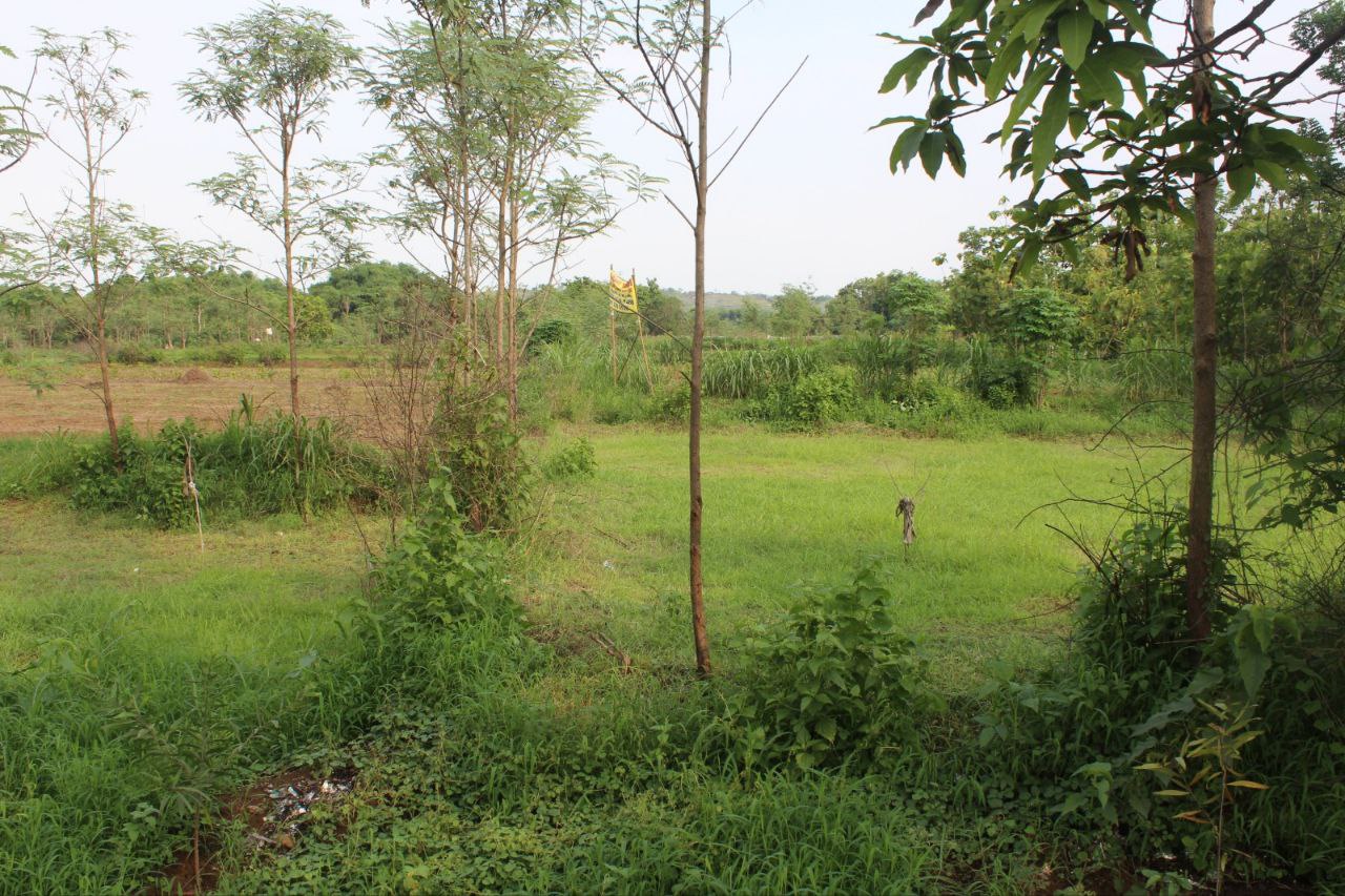 Dijual Tanah Luas Lokasi Potensial di Morkepek Madura - Thumbnail 4