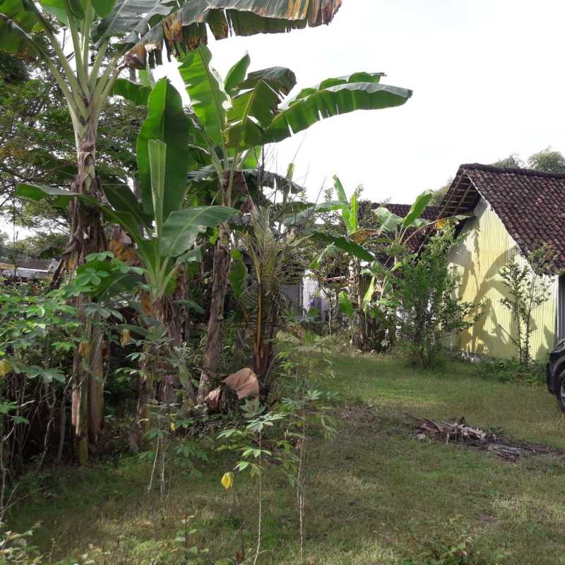 Dijual Tanah Luas Lokasi Strategis di Kawasan Sembung Ngawi - Image 1