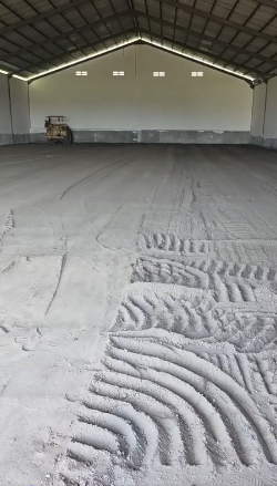 Disewakan Gudang Luas dan Strategis di Kawasan Pabean Probolinggo - Image 1