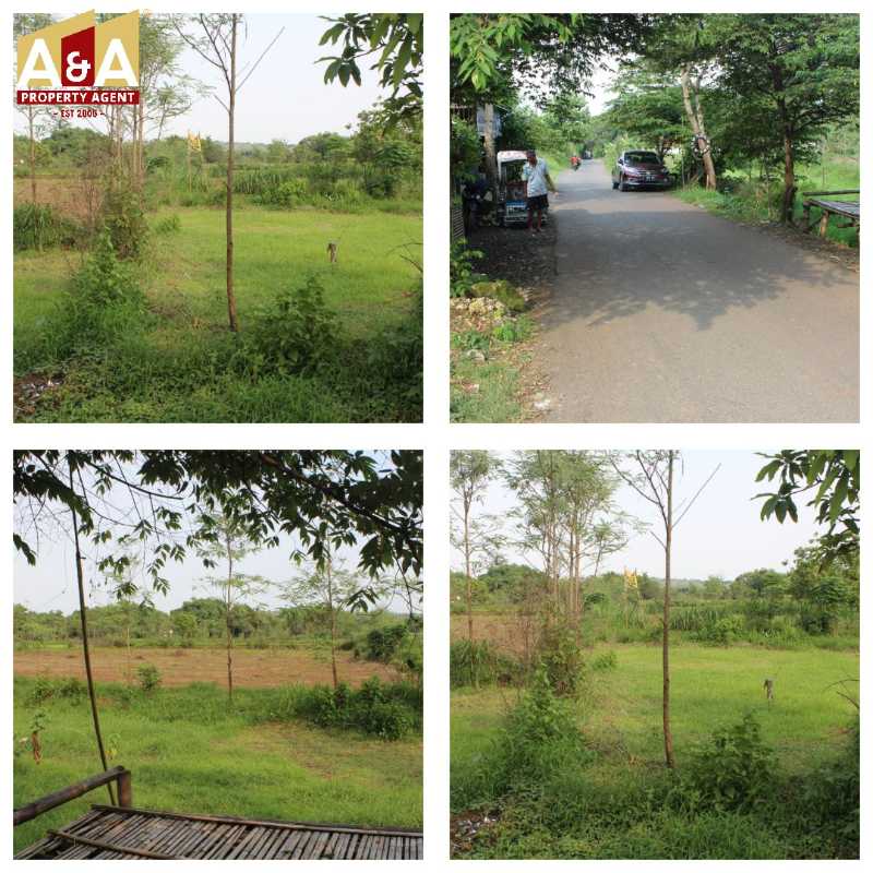 Dijual Tanah Luas Lokasi Potensial di Kawasan Morkepek Madura - Image 1