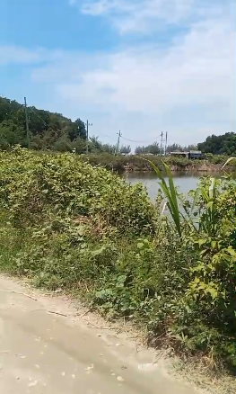 Dijual Tanah Luas Nol Jalan di Kawasan Paciran Lamongan - Thumbnail 2