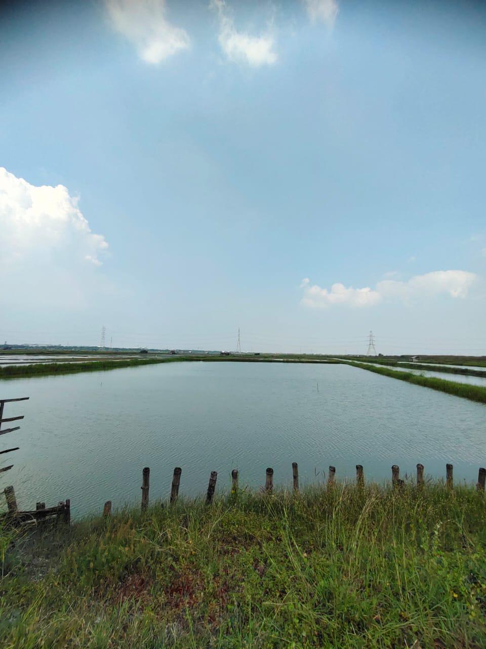 Dijual tanah lokasi strategis Nol Jalan Raya Jawar, Surabaya Barat - Thumbnail 2