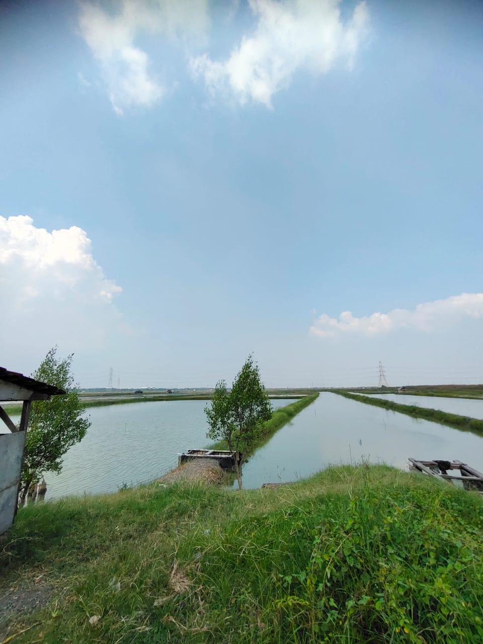 Dijual tanah lokasi strategis Nol Jalan Raya Jawar, Surabaya Barat - Thumbnail 3