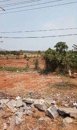 Dijual Tanah Nol Jalan Raya di Desa Sidomukti Lamongan - Image 1