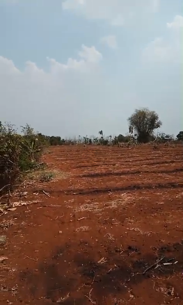 Dijual Tanah Nol Jalan Raya di Desa Sidomukti Lamongan - Thumbnail 3