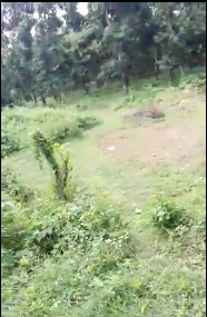 Dijual Tanah Luas di Desa Tlogo Sadang Paciran Lamongan - Thumbnail 4