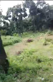 Dijual Tanah Luas di Desa Tlogo Sadang Paciran Lamongan - Thumbnail 5