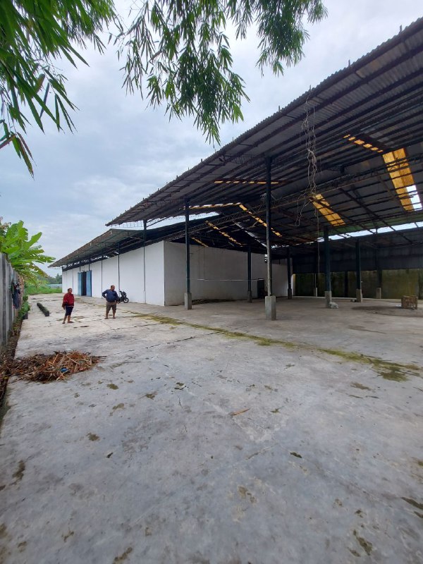 Dijual / Disewakan Tanah Gudang Strategis Klambir 5 Hamparan Perak Deli Serdang - Thumbnail 3