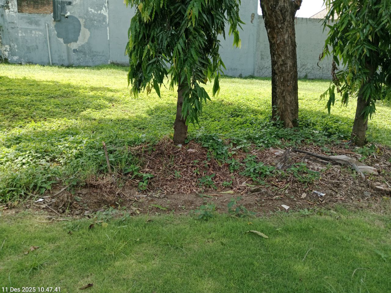 Disewakan Tanah Strategis Raya International Village di Citraland Surabaya Barat - Image 1