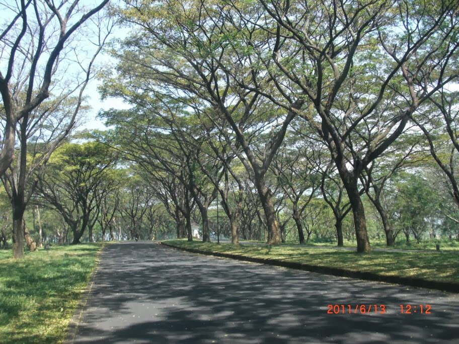 Disewakan Villa Mewah Halimun Fajar Taman Dayu Pasuruan Jatim - Thumbnail 6