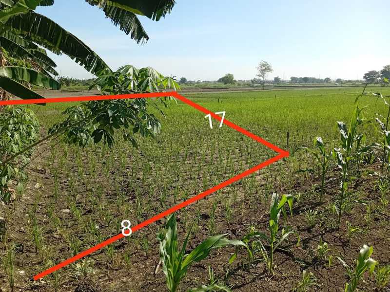 Dijual Tanah Siap Bangun di Menganti Gresik - Image 1
