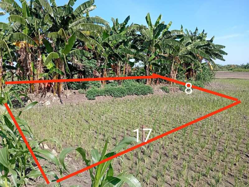 Dijual Tanah Siap Bangun di Menganti Gresik - Thumbnail 4