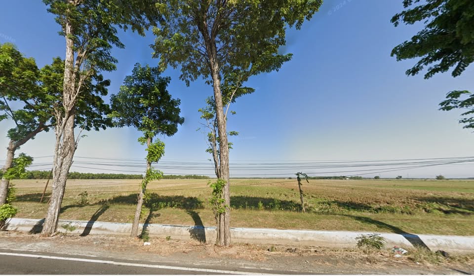 Dijual Tanah Strategis Nol Jalan Raya di Kedungpring Lamongan - Image 1