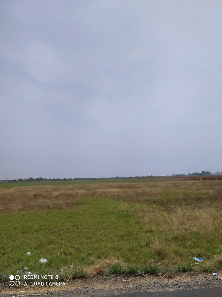 Dijual Tanah Strategis Nol Jalan Raya di Kedungpring Lamongan - Thumbnail 2
