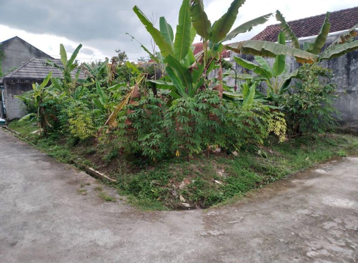 Dijual Tanah Siap Bangun di Perumahan Trimulyo Sleman - Thumbnail 2