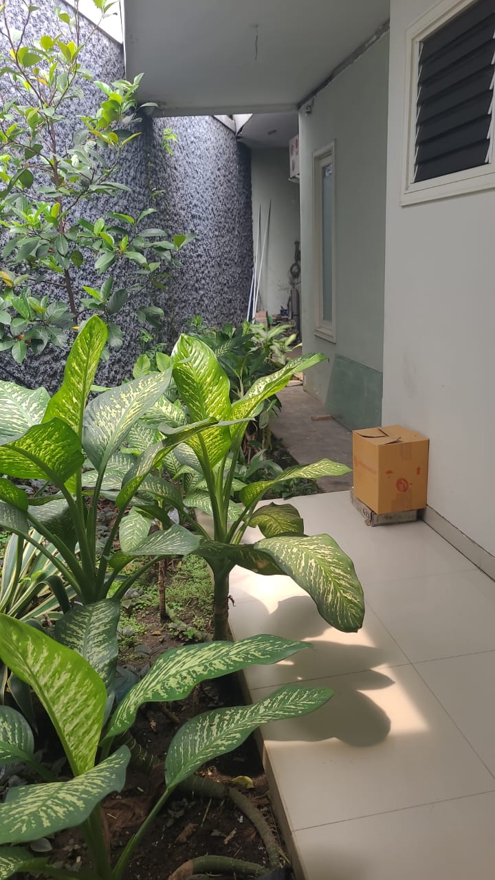 Dijual Rumah Mewah Murah Lokasi Strategis di Medokan Asri Surabaya Timur - Thumbnail 8