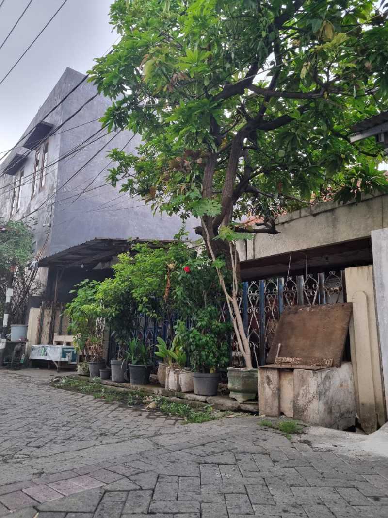 Dijual Rumah Lama Hitung Tanah di Ploso Surabaya Timur - Thumbnail 2
