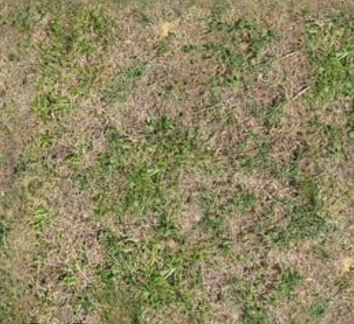 Dijual Rumah Hitung Tanah di Karang Empat Surabaya Timur - Image 1