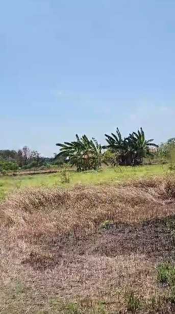 Dijual Tanah Luas Strategis di Raya Leker Rejo Gresik - Thumbnail 2