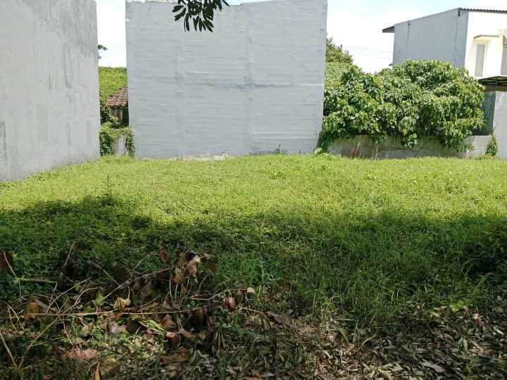 Dijual Tanah Kavling Siap Bangun di Kawasan Bukit Palma Citraland Surabaya Barat - Image 1