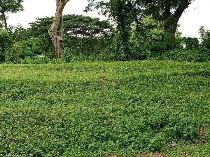 Dijual Tanah Eksklusif Tanah Golf View Bukit Golf Citraland Surabaya Barat - Image 1