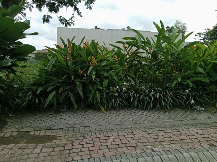 Dijual Tanah Kavling Strategis Raya Bukit Golf Citraland Surabaya Barat - Image 1