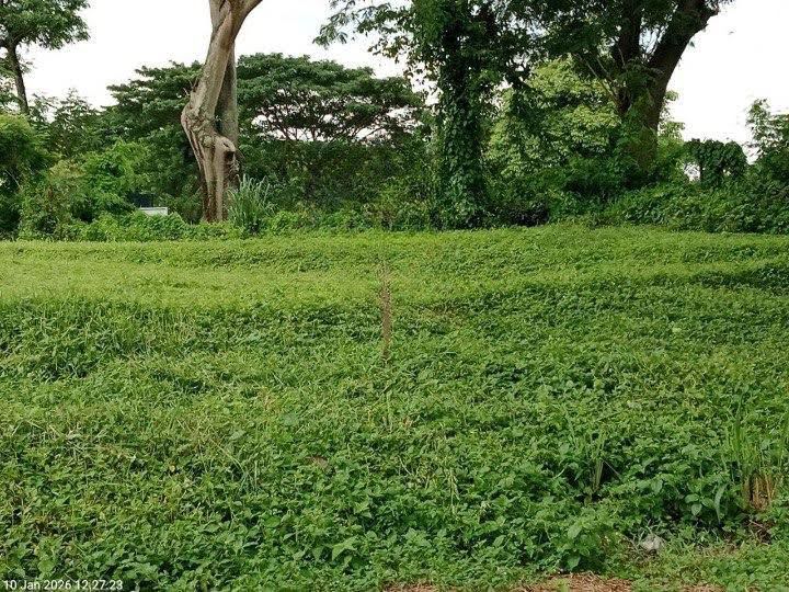 Dijual Tanah Golf Strategis View Citraland Surabaya Barat - Image 1