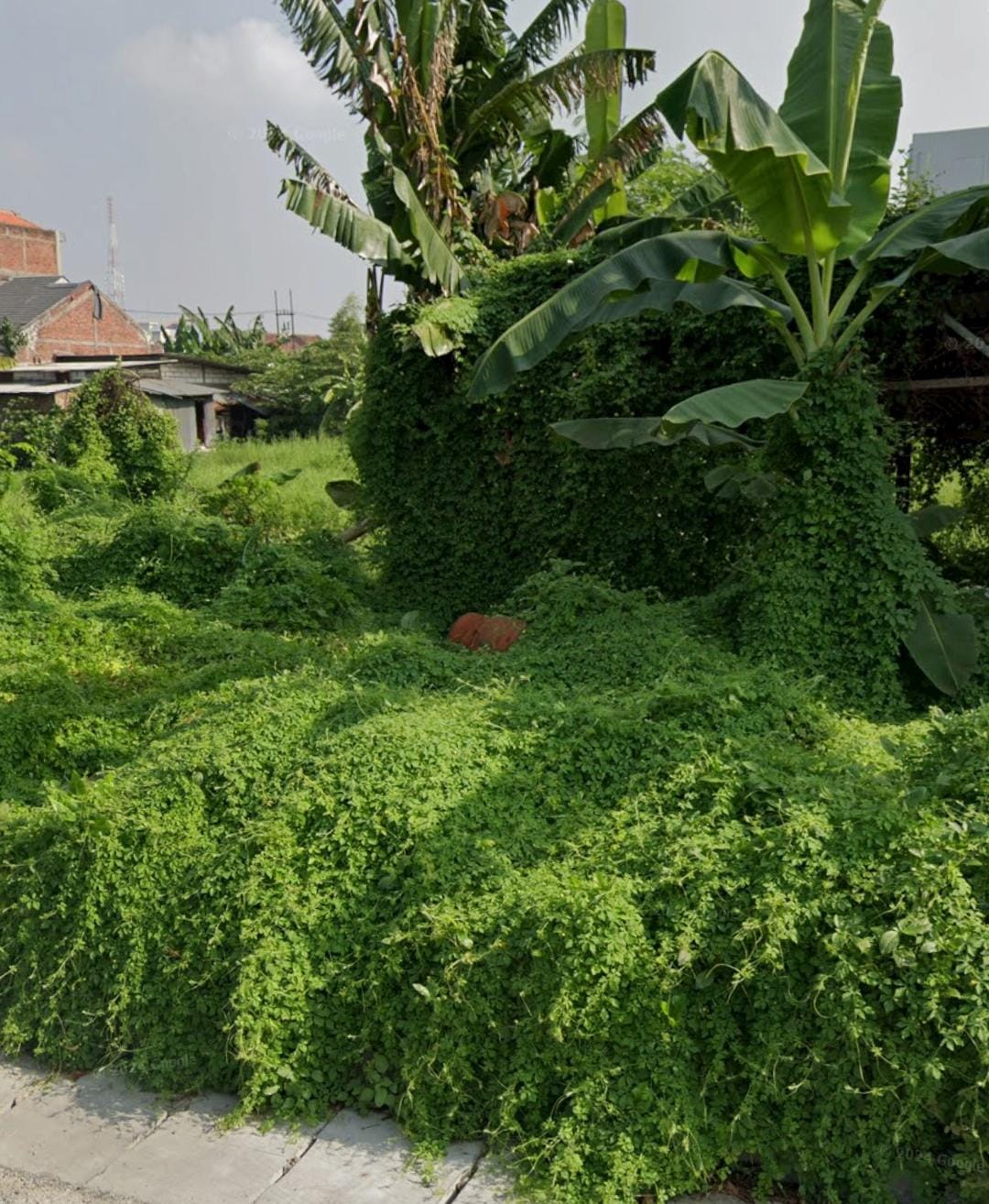 Disewakan Tanah Luas 7.800m² Menanggal Dekat Raya Ahmad Yani Surabaya Selatan - Image 1