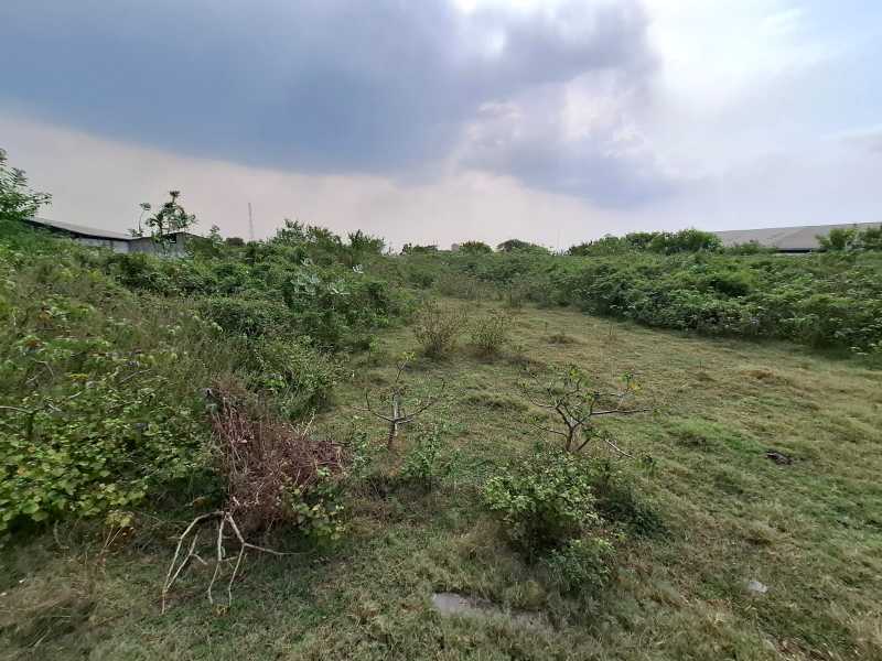 Disewakan Lahan Terbuka 3 Hektar Area Industrial Bambe Gresik Jawa timur - Image 1