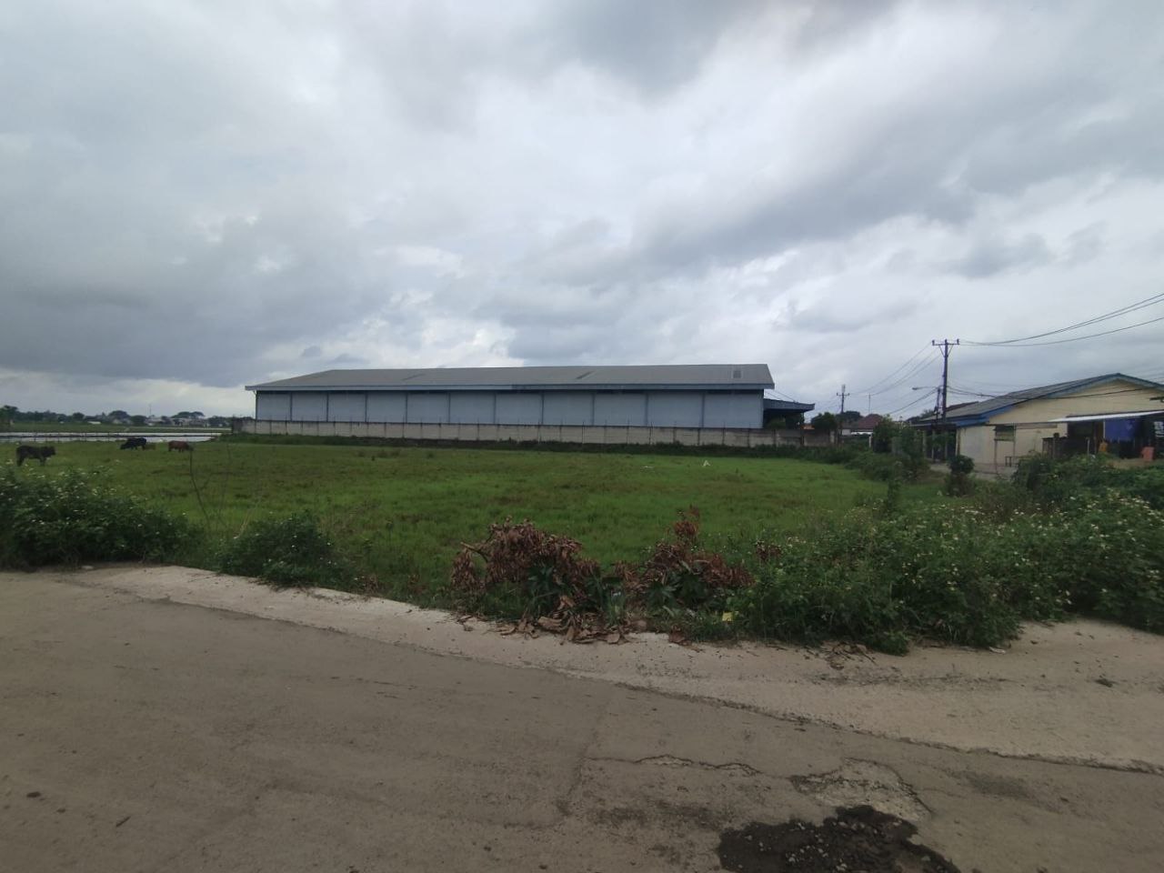 Dijual Tanah Luas Strategis di Kendal Sindang Panon Tangerang - Thumbnail 5