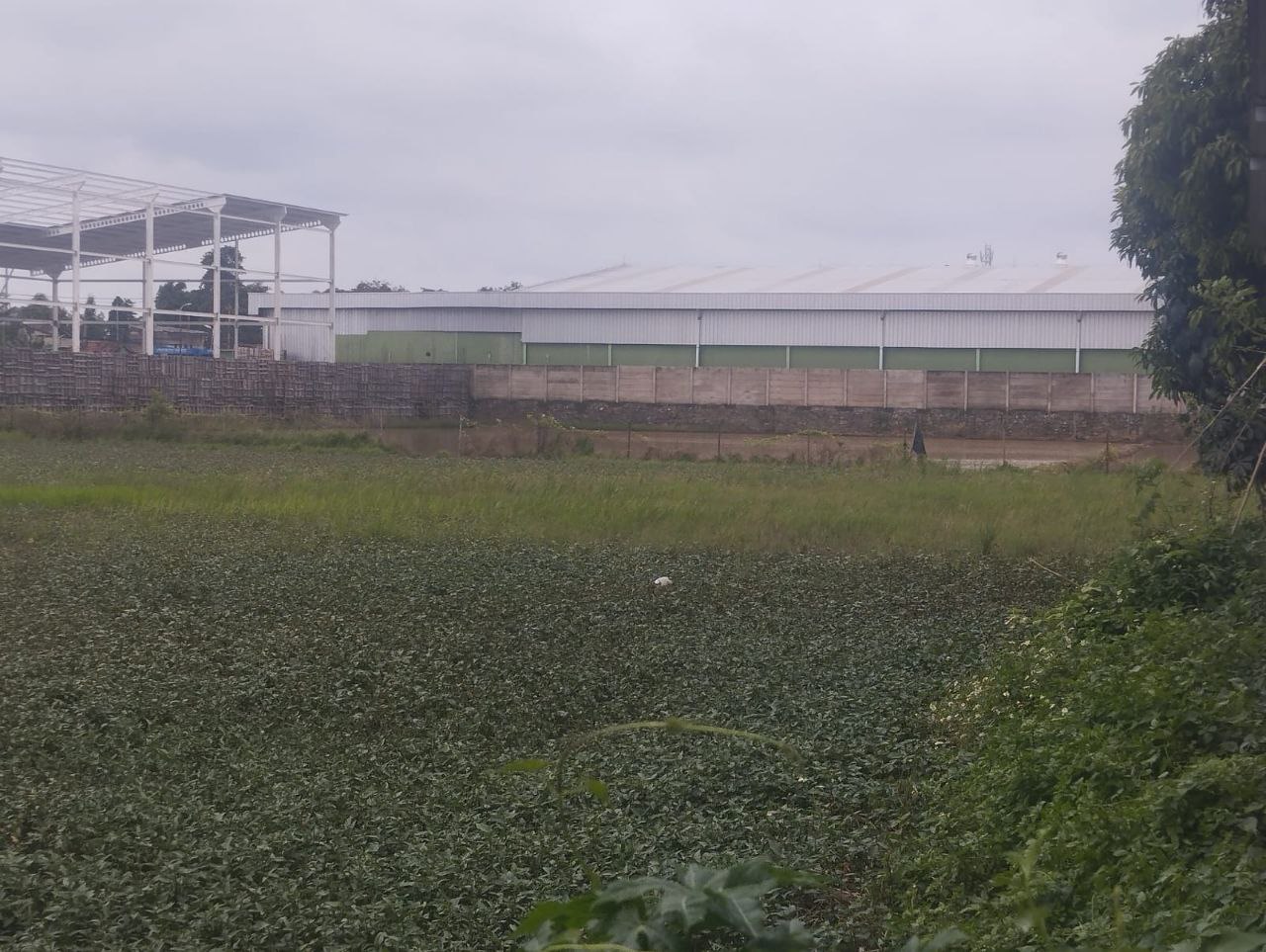 Dijual Lahan Luas Strategis di Kendal Sindang Panon Tangerang - Thumbnail 3