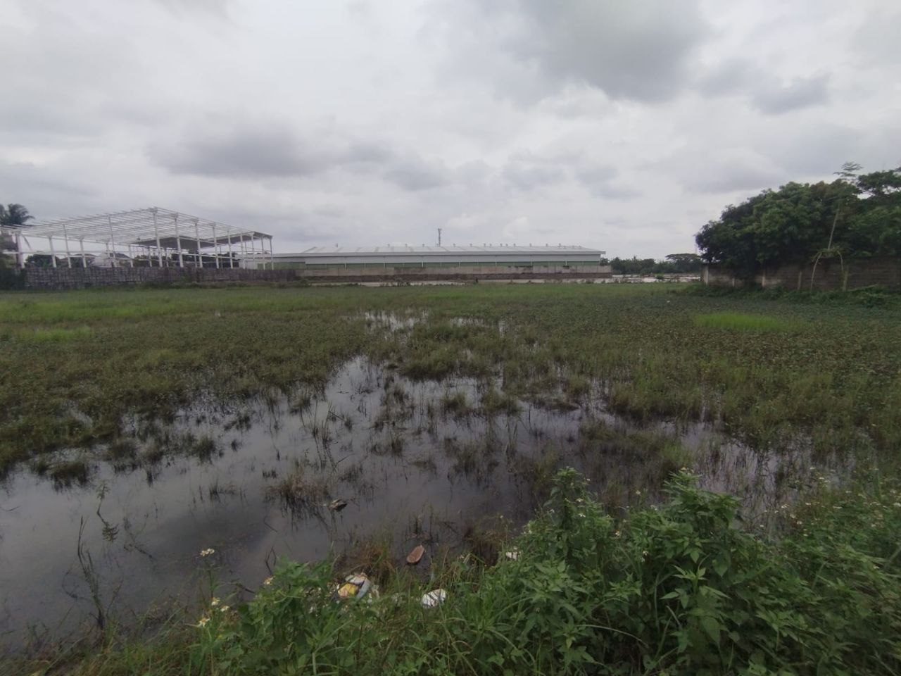 Dijual Lahan Luas Strategis di Kendal Sindang Panon Tangerang - Thumbnail 5