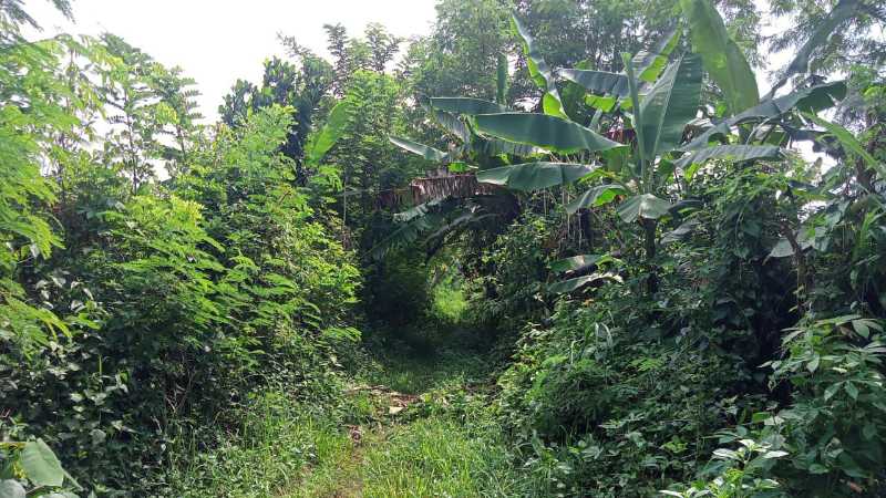 Dijual Tanah Luas Strategis di Cikadu Purwakarta - Thumbnail 2