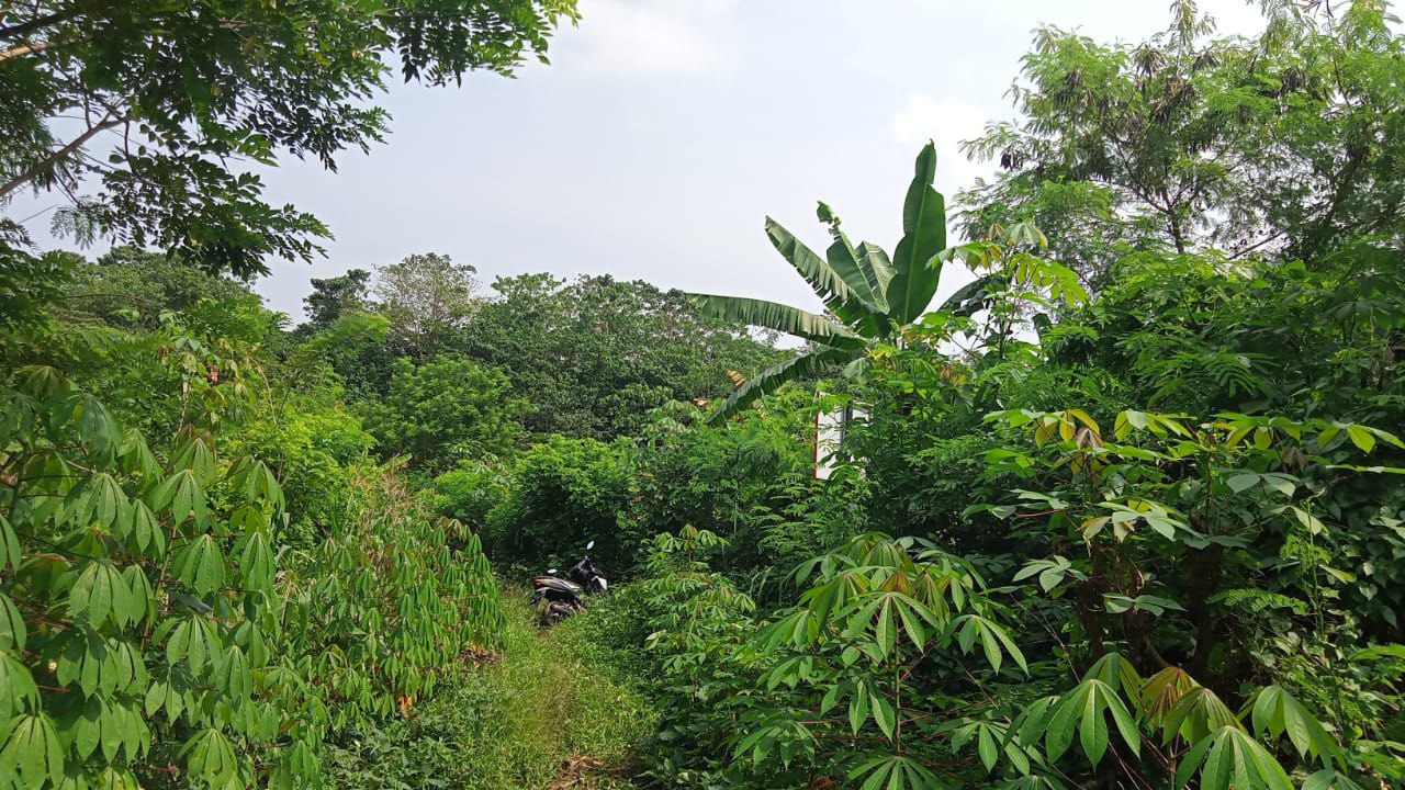 Dijual Tanah Luas Strategis di Cikadu Purwakarta - Thumbnail 5