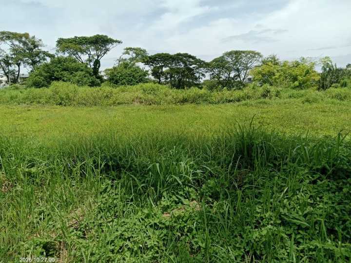 Dijual Tanah Lokasi Premium Strategis Citraland Surabaya Barat - Thumbnail 3