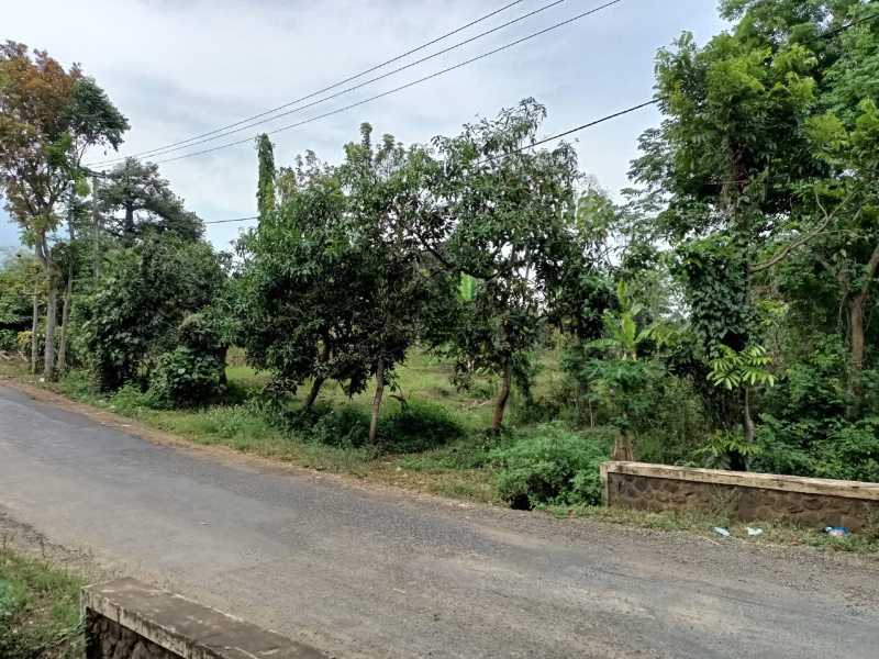 Dijual Tanah Luas Strategis di Sukoreno Pasuruan - Image 1