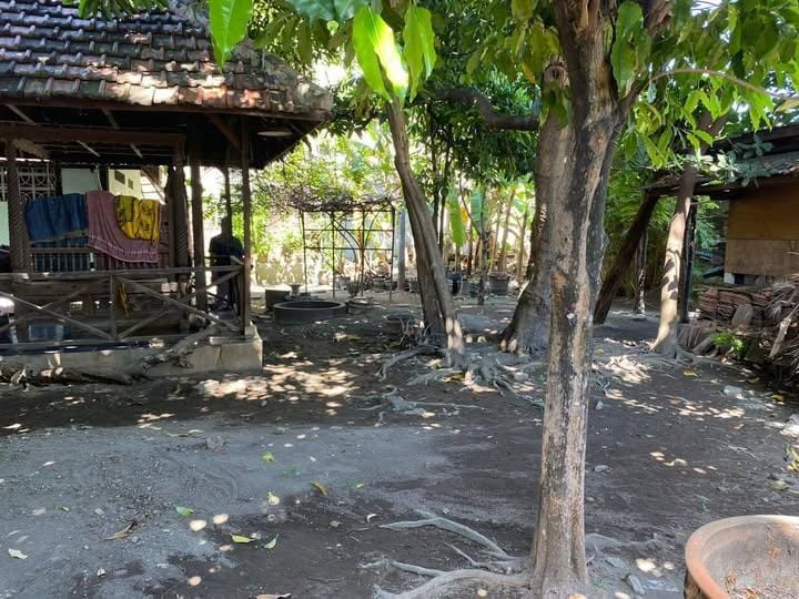 Dijual Rumah Hitung Tanah di Dinoyo Tangsi Surabaya - Thumbnail 2