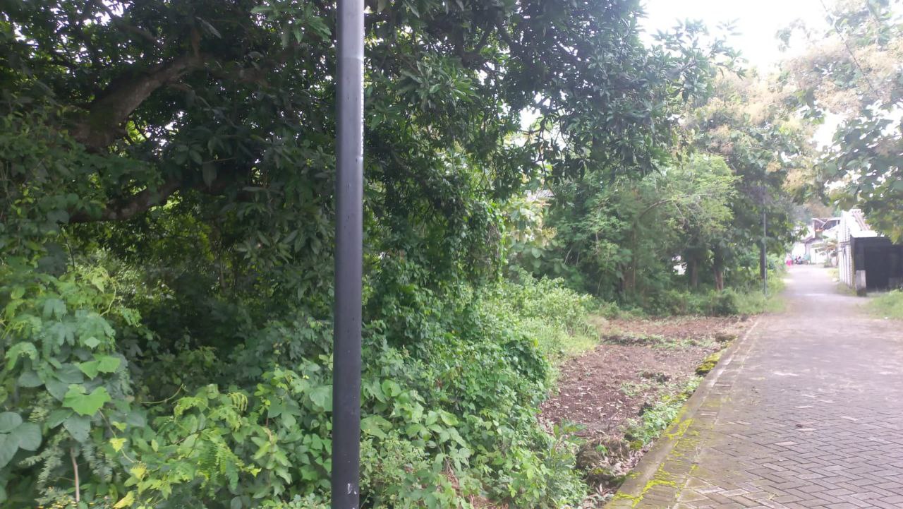 Dijual Tanah Strategis di Kampung Yaman Bungah Gresik - Thumbnail 4