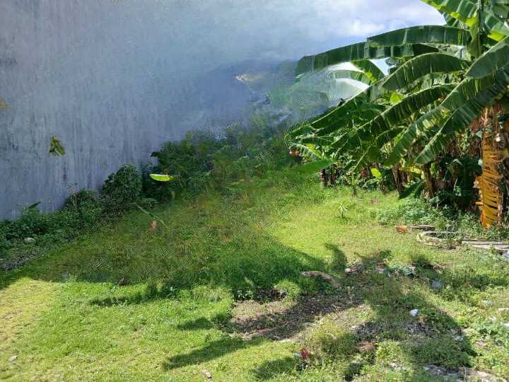 Dijual Tanah Strategis yang Berlokasi di Jalan Klampis Semolo Barat Surabaya Timur - Image 1