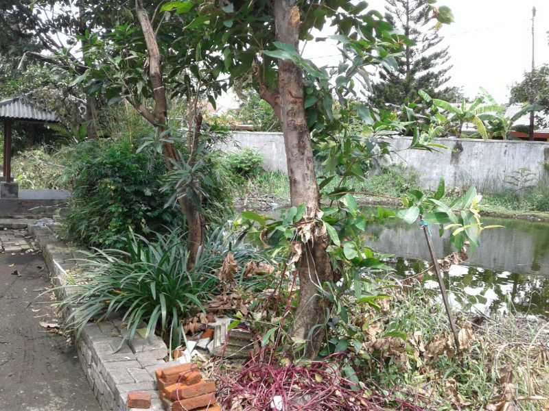 Dijual/Disewakan Tanah Strategis di Kejaksaan Jemur Handayani Surabaya Selatan - Thumbnail 6