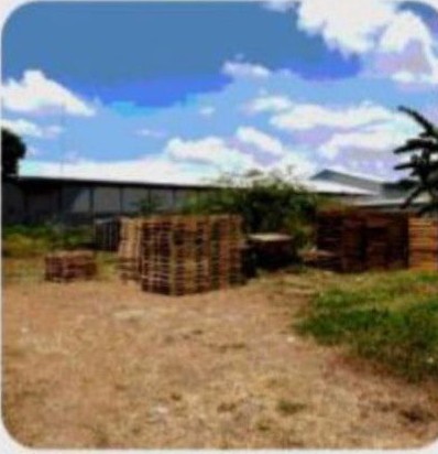 Dijual Tanah Industri Luas Strategis di Jalan Raya Surabaya Malang Pasuruan - Thumbnail 4