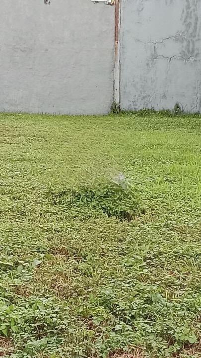 Dijual Tanah Kavling Strategis di Citraland Royal Park Surabaya Barat - Image 1