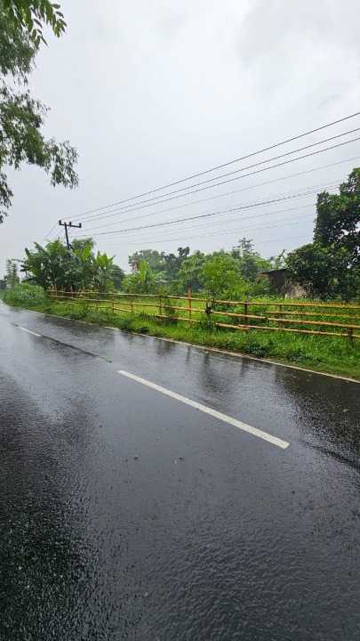 Dijual Tanah Luas Strategis di Raya Taman Safari Pasuruan - Thumbnail 2