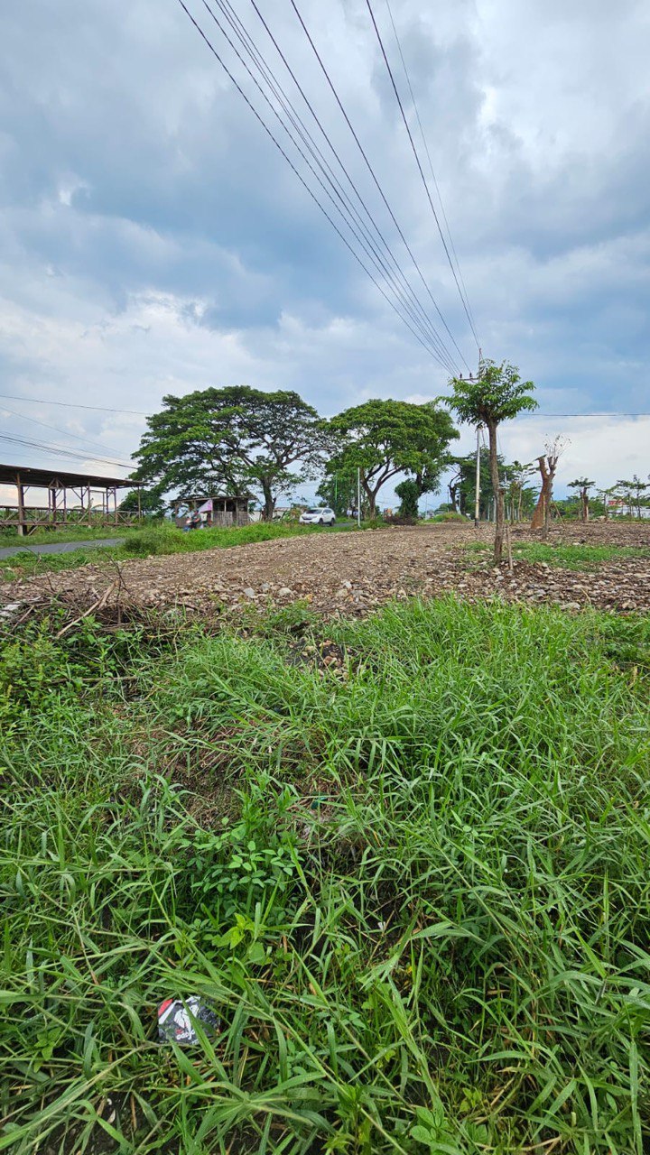 Dijual Tanah Luas Strategis di Raya Taman Safari Pasuruan - Thumbnail 3