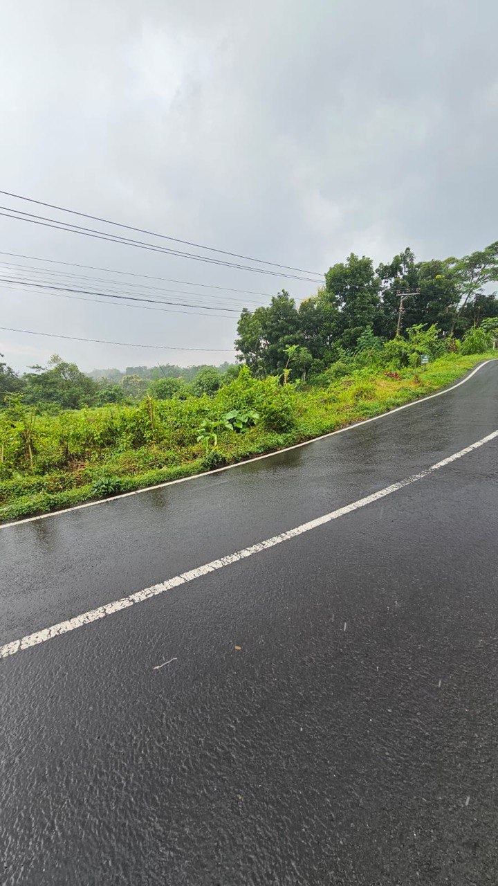 Dijual Tanah Luas Strategis di Raya Taman Safari Pasuruan - Thumbnail 5