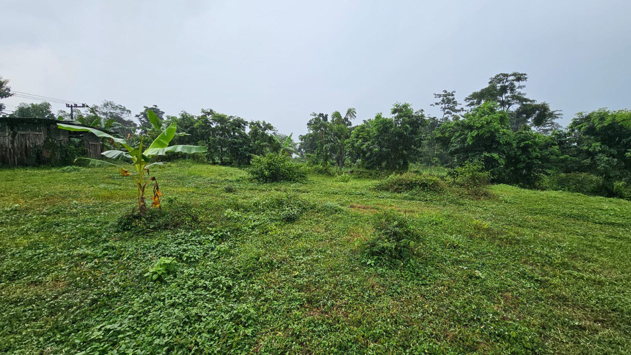 Dijual Tanah Luas Strategis di Raya Taman Safari Pasuruan - Thumbnail 8