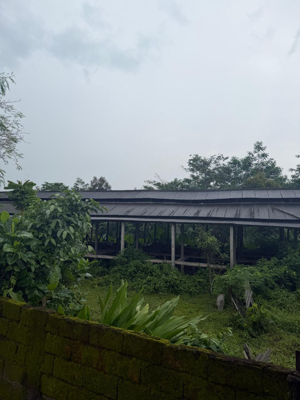 Dijual Tanah dan Kandang Permanen Luas di Kawasan Jalan Sukowiryo Jember - Thumbnail 2