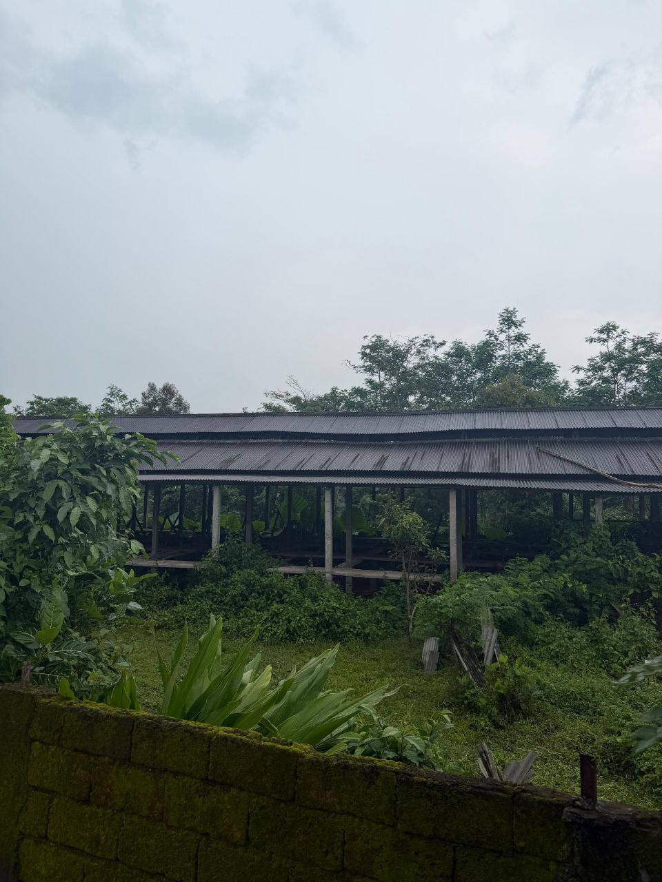 Dijual Tanah dan Kandang Permanen Luas di Kawasan Jalan Sukowiryo Jember - Thumbnail 3